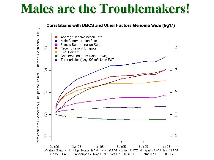 Males are the Troublemakers! 