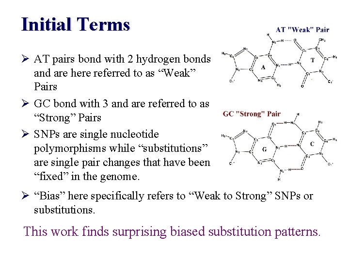 Initial Terms Ø AT pairs bond with 2 hydrogen bonds and are here referred