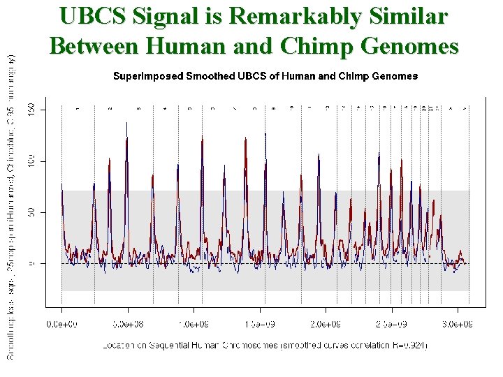 UBCS Signal is Remarkably Similar Between Human and Chimp Genomes 