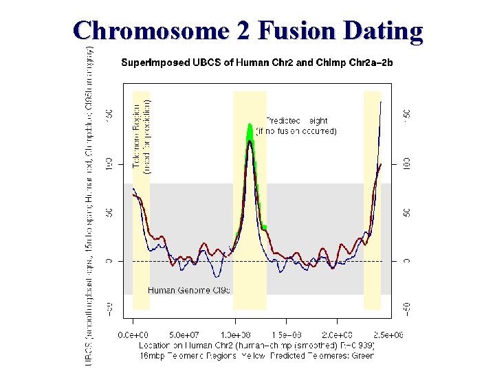 Chromosome 2 Fusion Dating 