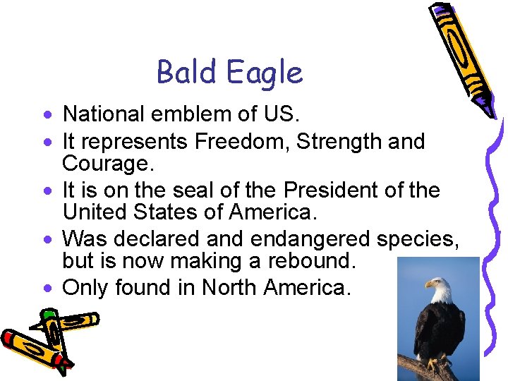 Bald Eagle · National emblem of US. · It represents Freedom, Strength and Courage.