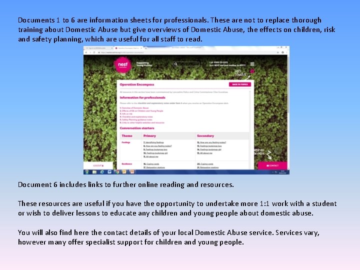Documents 1 to 6 are information sheets for professionals. These are not to replace