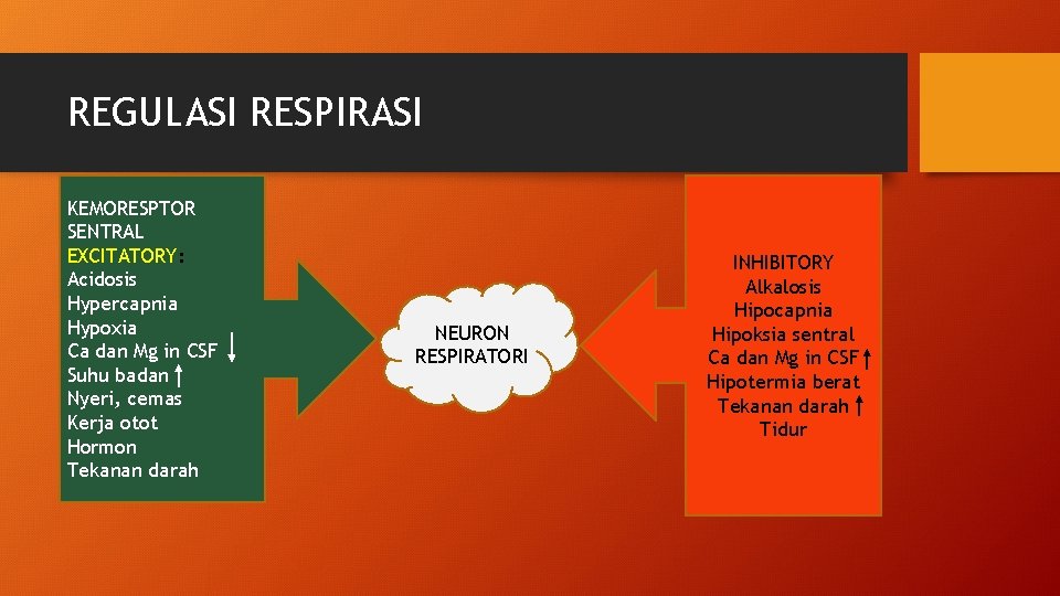 REGULASI RESPIRASI KEMORESPTOR SENTRAL EXCITATORY: Acidosis Hypercapnia Hypoxia Ca dan Mg in CSF Suhu