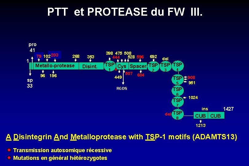 PTT et PROTEASE du FW III. pro 41 1 sp 33 79 102 203