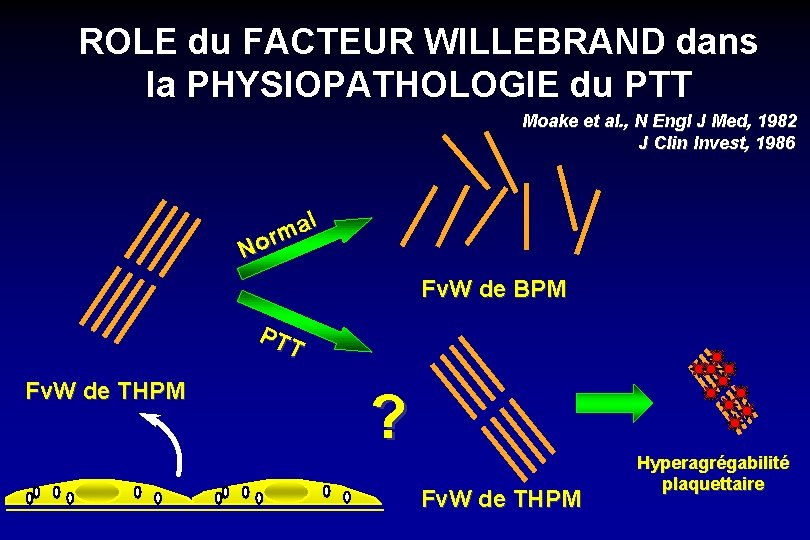 ROLE du FACTEUR WILLEBRAND dans la PHYSIOPATHOLOGIE du PTT Moake et al. , N
