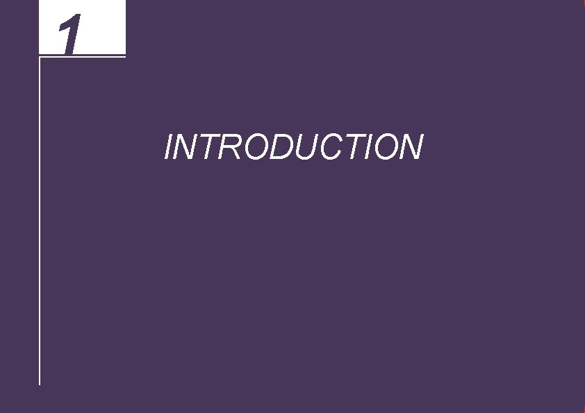 1 INTRODUCTION 