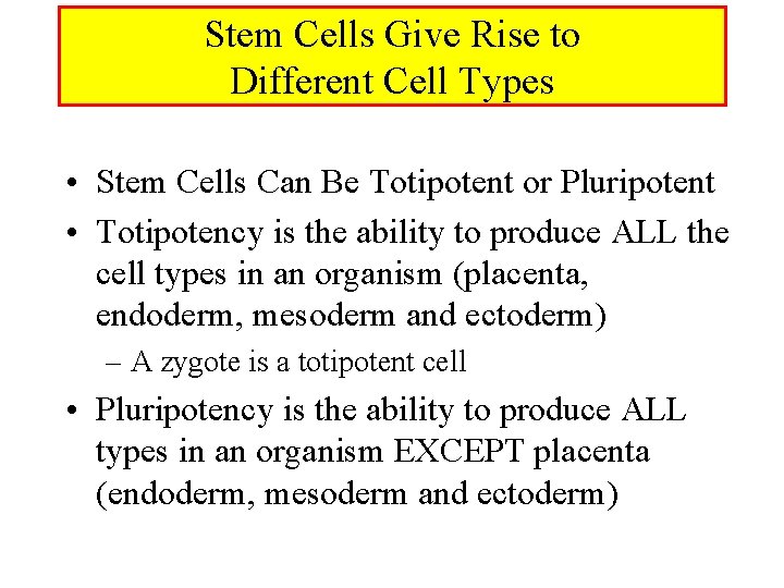 Stem Cells Give Rise to Different Cell Types • Stem Cells Can Be Totipotent