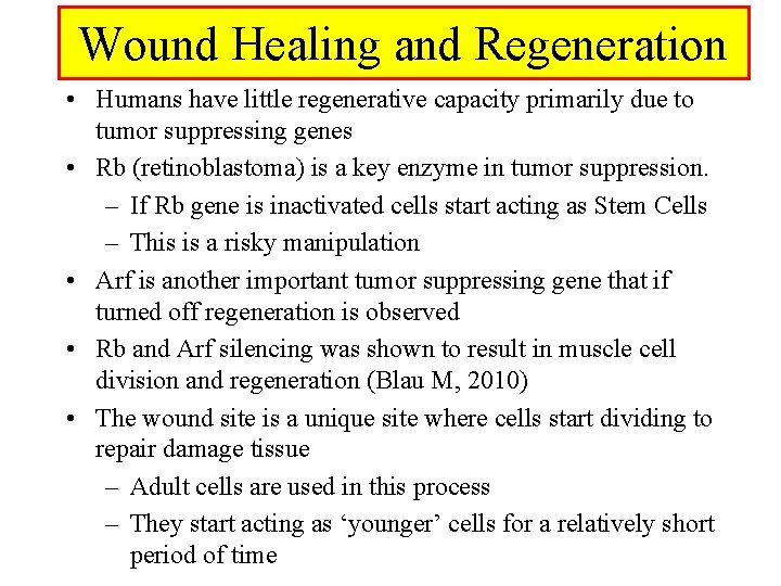 Wound Healing and Regeneration • Humans have little regenerative capacity primarily due to tumor
