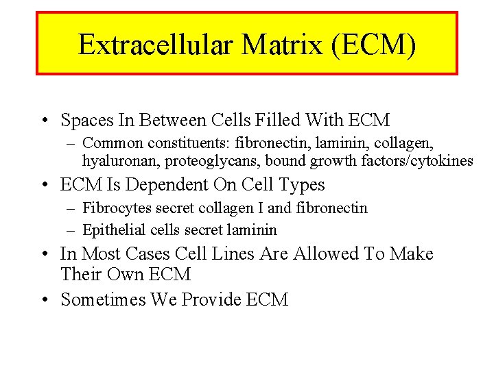 Extracellular Matrix (ECM) • Spaces In Between Cells Filled With ECM – Common constituents:
