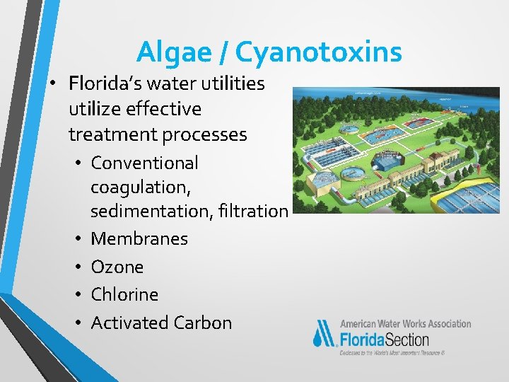 Algae / Cyanotoxins • Florida’s water utilities utilize effective treatment processes • Conventional coagulation,