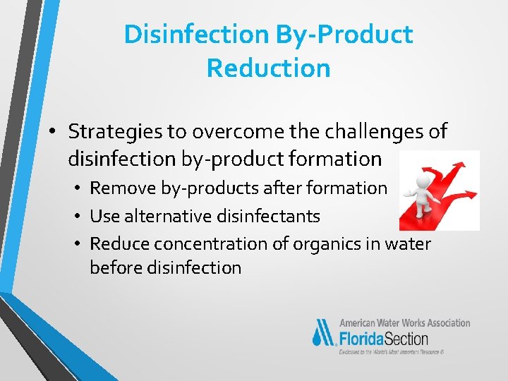 Disinfection By-Product Reduction • Strategies to overcome the challenges of disinfection by-product formation •