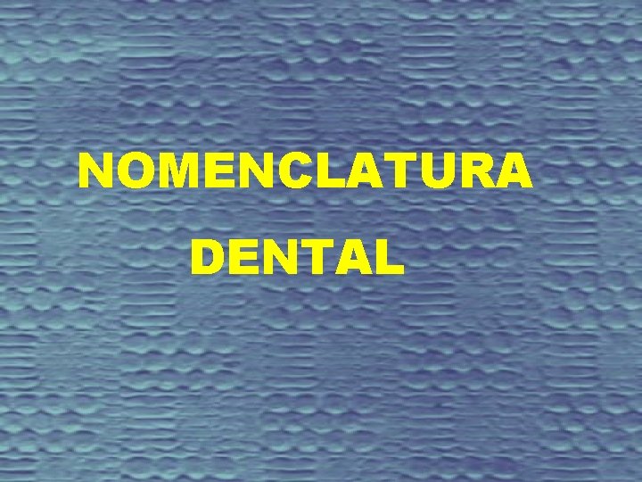 NOMENCLATURA DENTAL 