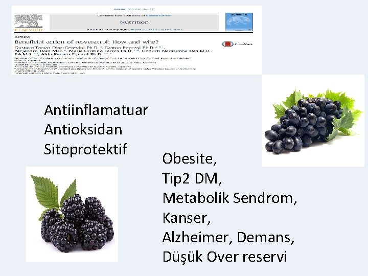 Antiinflamatuar Antioksidan Sitoprotektif Obesite, Tip 2 DM, Metabolik Sendrom, Kanser, Alzheimer, Demans, Düşük Over