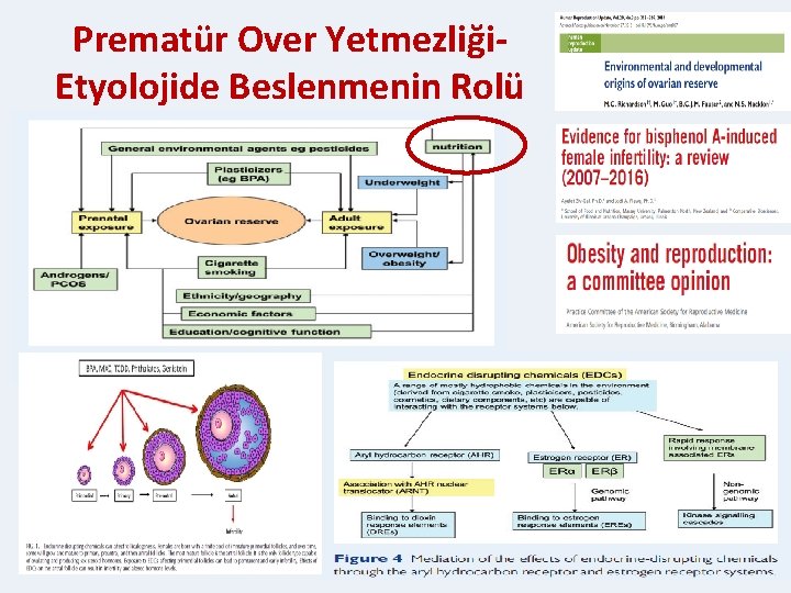 Prematür Over Yetmezliği- Etyolojide Beslenmenin Rolü 