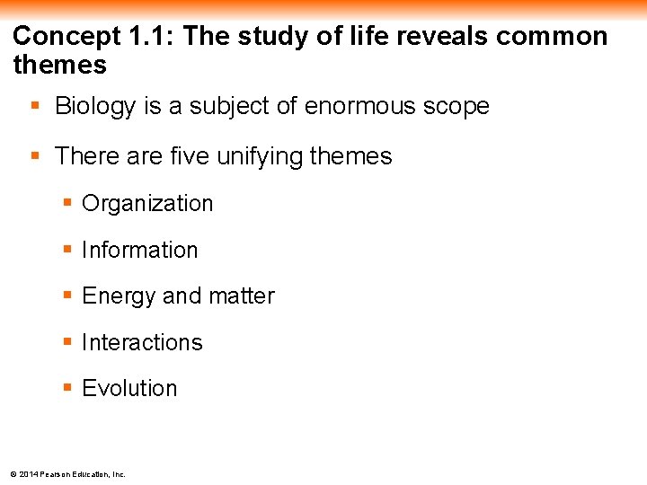 Concept 1. 1: The study of life reveals common themes § Biology is a
