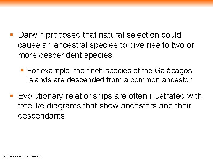 § Darwin proposed that natural selection could cause an ancestral species to give rise