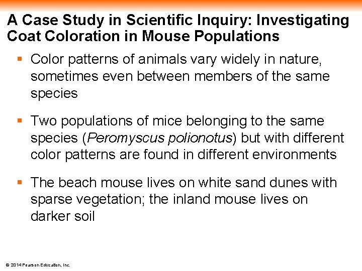 A Case Study in Scientific Inquiry: Investigating Coat Coloration in Mouse Populations § Color