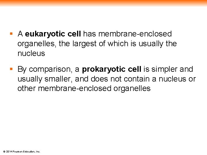 § A eukaryotic cell has membrane-enclosed organelles, the largest of which is usually the