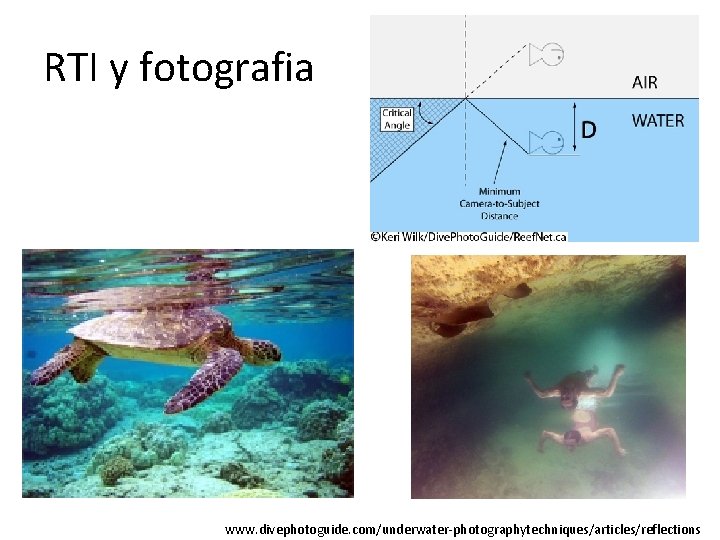 RTI y fotografia www. divephotoguide. com/underwater-photographytechniques/articles/reflections 