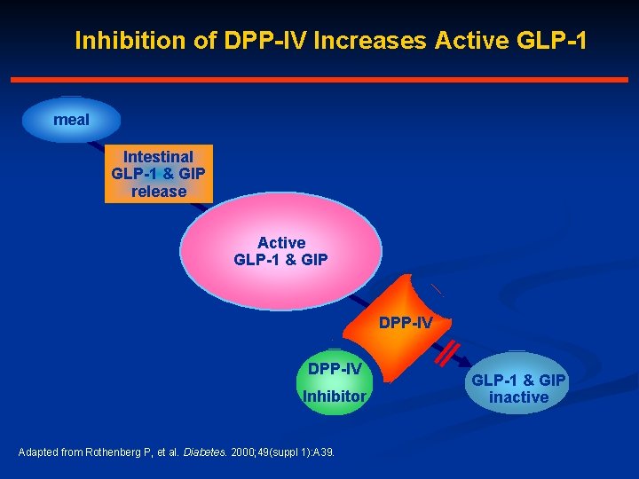 Inhibition of DPP-IV Increases Active GLP-1 meal Intestinal GLP-1 & GIP release Active GLP-1