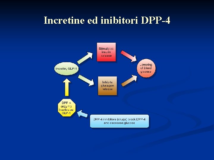 Incretine ed inibitori DPP-4 