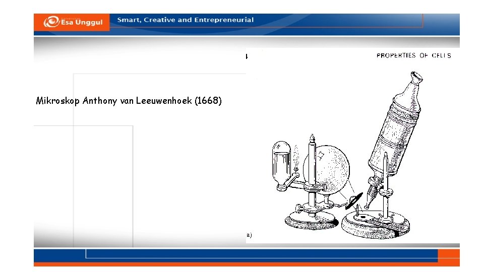 Mikroskop Anthony van Leeuwenhoek (1668) 