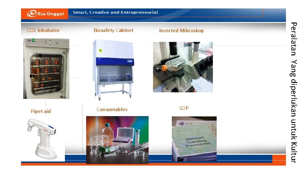 Pipet aid Biosafety Cabinet Consumables Inverted Mikroskop SOP Peralatan Yang diperlukan untuk Kultur CO