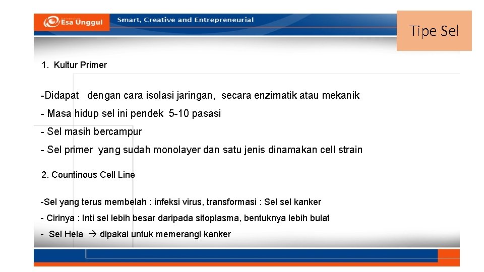 Tipe Sel 1. Kultur Primer -Didapat dengan cara isolasi jaringan, secara enzimatik atau mekanik