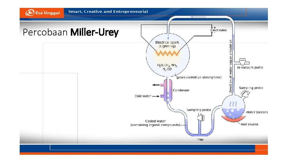 Percobaan Miller-Urey 