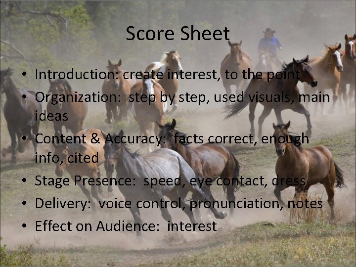 Score Sheet • Introduction: create interest, to the point • Organization: step by step,