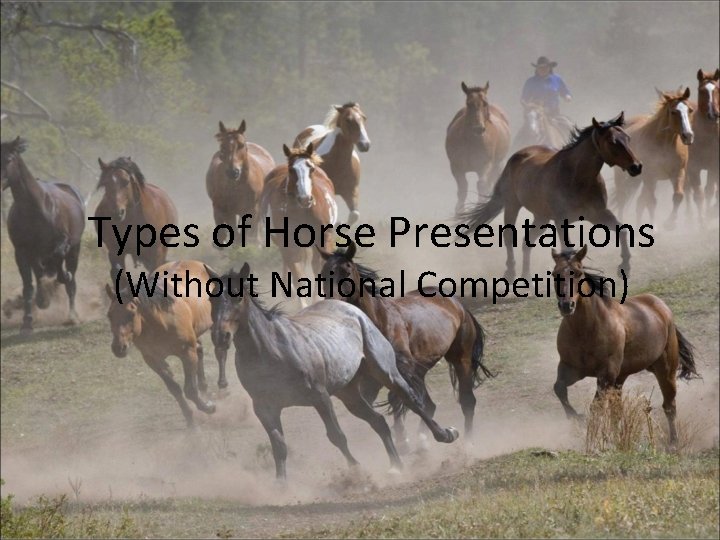 Types of Horse Presentations (Without National Competition) 