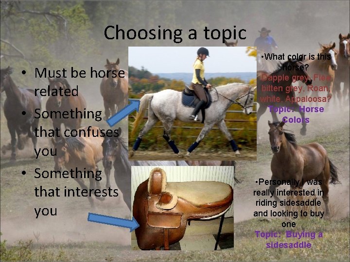 Choosing a topic • Must be horse related • Something that confuses you •