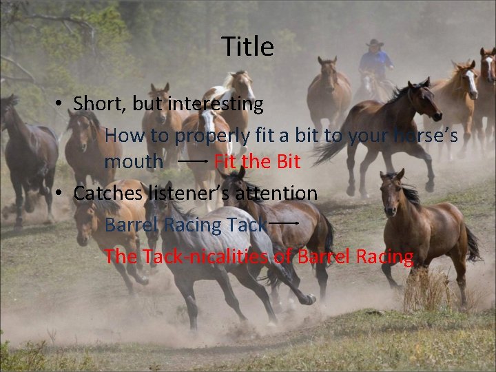 Title • Short, but interesting How to properly fit a bit to your horse’s