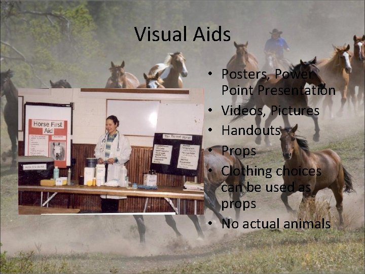 Visual Aids • Posters, Power Point Presentation • Videos, Pictures • Handouts • Props