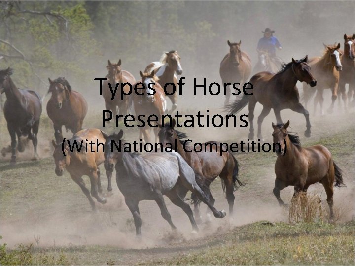 Types of Horse Presentations (With National Competition) 