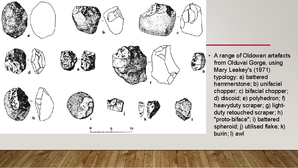  • A range of Oldowan artefacts from Olduvai Gorge, using Mary Leakey's (1971)