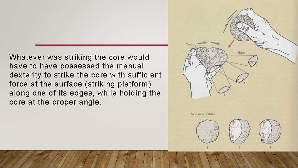 Whatever was striking the core would have to have possessed the manual dexterity to