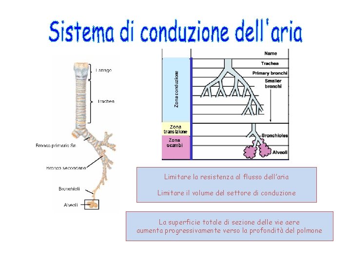 Limitare la resistenza al flusso dell’aria Limitare il volume del settore di conduzione La