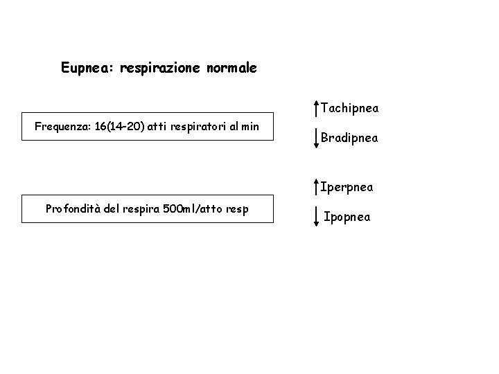 Eupnea: respirazione normale Tachipnea Frequenza: 16(14 -20) atti respiratori al min Bradipnea Iperpnea Profondità