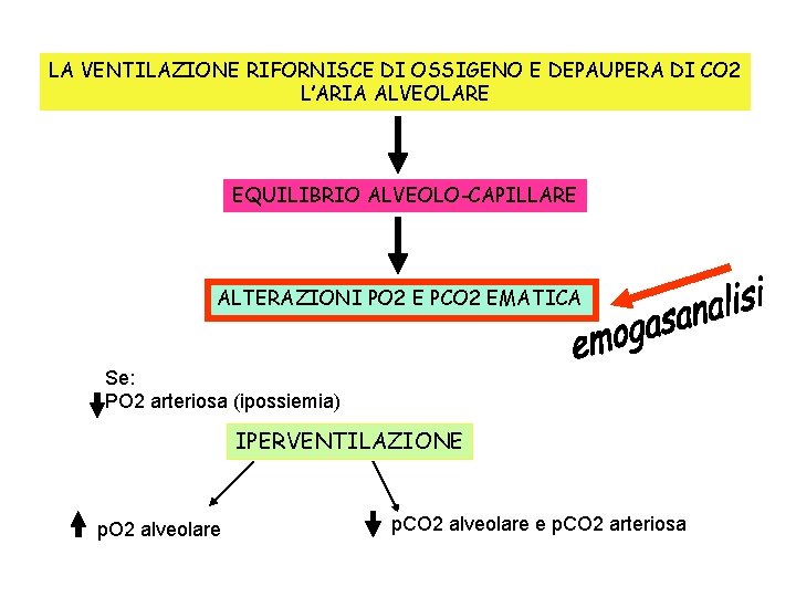 LA VENTILAZIONE RIFORNISCE DI OSSIGENO E DEPAUPERA DI CO 2 L’ARIA ALVEOLARE EQUILIBRIO ALVEOLO-CAPILLARE