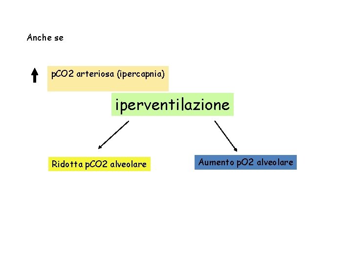 Anche se p. CO 2 arteriosa (ipercapnia) iperventilazione Ridotta p. CO 2 alveolare Aumento