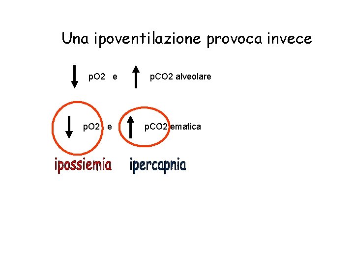 Una ipoventilazione provoca invece p. O 2 e p. CO 2 alveolare p. CO