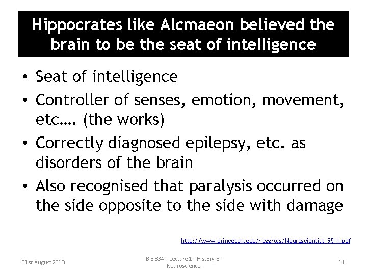 Hippocrates like Alcmaeon believed the brain to be the seat of intelligence • Seat Hippocrates like Alcmaeon believed the brain to be the seat of intelligence • Seat
