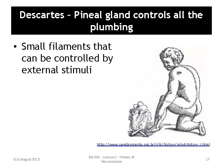 Descartes – Pineal gland controls all the plumbing • Small filaments that can be Descartes – Pineal gland controls all the plumbing • Small filaments that can be