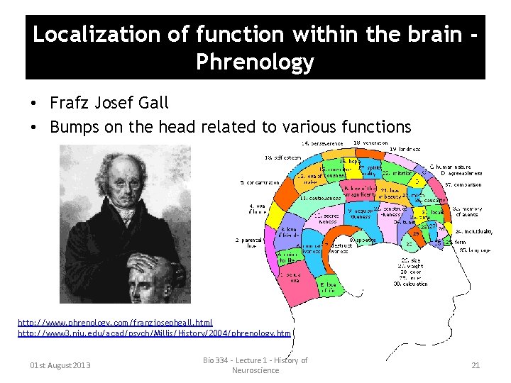 Localization of function within the brain Phrenology • Frafz Josef Gall • Bumps on Localization of function within the brain Phrenology • Frafz Josef Gall • Bumps on