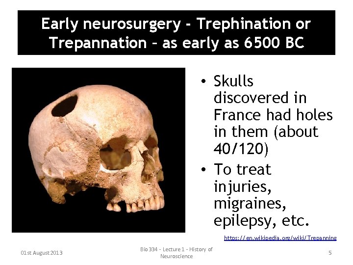 Early neurosurgery - Trephination or Trepannation – as early as 6500 BC • Skulls Early neurosurgery - Trephination or Trepannation – as early as 6500 BC • Skulls