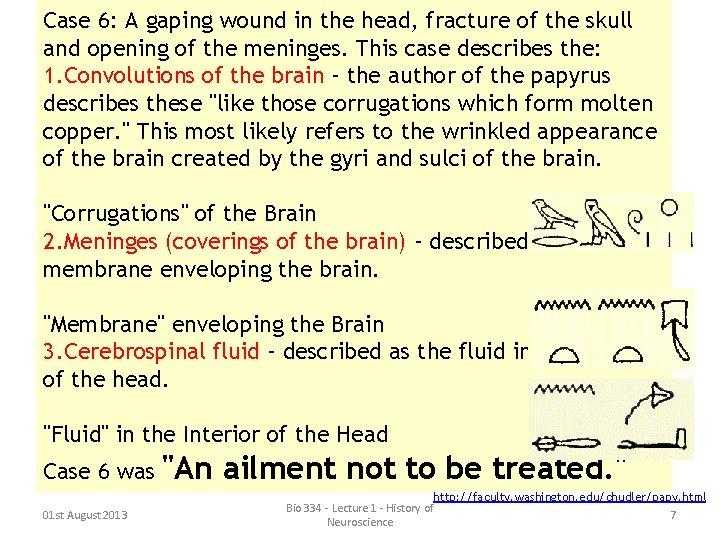 Case 6: A gaping wound in the head, fracture of the skull and opening Case 6: A gaping wound in the head, fracture of the skull and opening