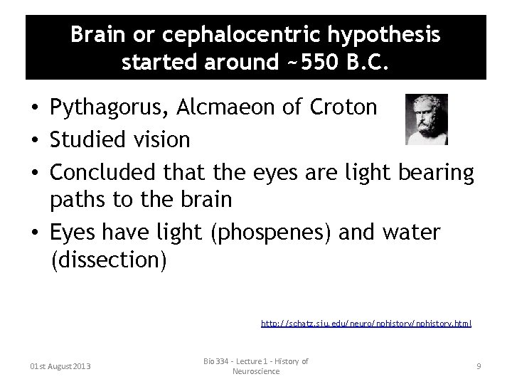 Brain or cephalocentric hypothesis started around ~550 B. C. • Pythagorus, Alcmaeon of Croton Brain or cephalocentric hypothesis started around ~550 B. C. • Pythagorus, Alcmaeon of Croton