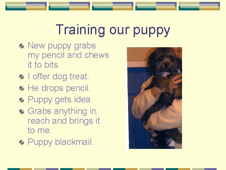 Training our puppy New puppy grabs my pencil and chews it to bits. I