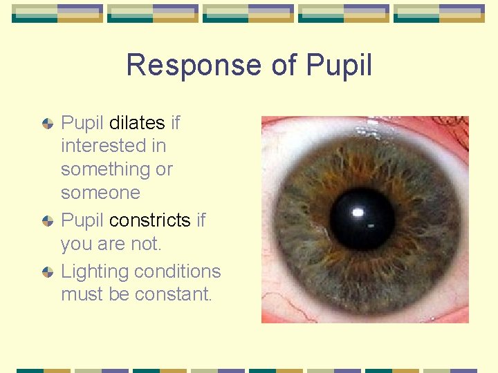Response of Pupil dilates if interested in something or someone Pupil constricts if you
